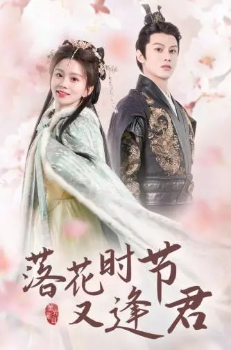 《落花时节又逢君》：古装甜宠天花板！王妃与将军的旷世绝恋，甜到掉牙！